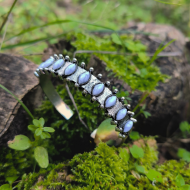 "Mystic Howlite Cuff"  Χειροπέδα 