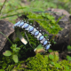 "Mystic Howlite Cuff"  Χειροπέδα 