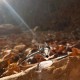 "Fox"  Βραχιόλι μπράτσου 