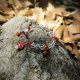 "Mushroom Bloom Bracelet" Χειροποίητο βραχιόλι 