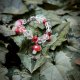 "Mushroom Bloom Bracelet" Χειροποίητο βραχιόλι 