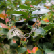 "Triple Crystal Link Bracelet" Βραχιόλι ατσάλινη αλυσίδα