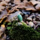 "Verdure Essence" Ατσάλινο δαχτυλίδι με πέτρα Αβεντουρίνης 