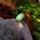 "Verdure Essence" Ατσάλινο δαχτυλίδι με πέτρα Αβεντουρίνης 