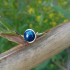 "Lapis Lazuli" Ατσάλινο δαχτυλίδι 