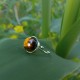 "Tiger eye"Ατσάλινο δαχτυλίδι 