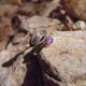 "The Charoite" Δαχτυλίδι Ασήμι S925