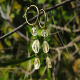 "Sunny Drops" Χειροποίητα σκουλαρίκια με Κιτρίνη
