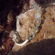 "Ice - Moonstone" Κολιέ Xειροποίητο με Φεγγαρόπετρες