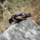 "Urban Knot" Ανδρικό Δερμάτινο Βραχιόλι 