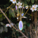 "Golden Bloom"  Ατσάλινα μενταγιόν