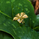 "Golden Flora Ring" Ατσάλινο δαχτυλίδι  