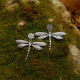 "Dragonfly" Ατσάλινα σκουλαρίκια