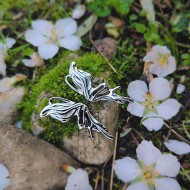 "Wings of Nature" Ατσάλινα σκουλαρίκια 